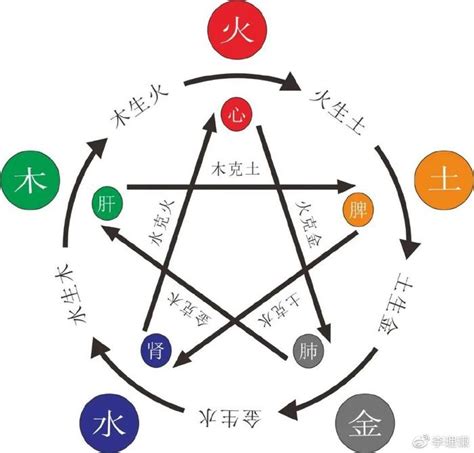 五行木太多|八字五行木太旺的人的命运怎样,五行木太旺的人怎么化解